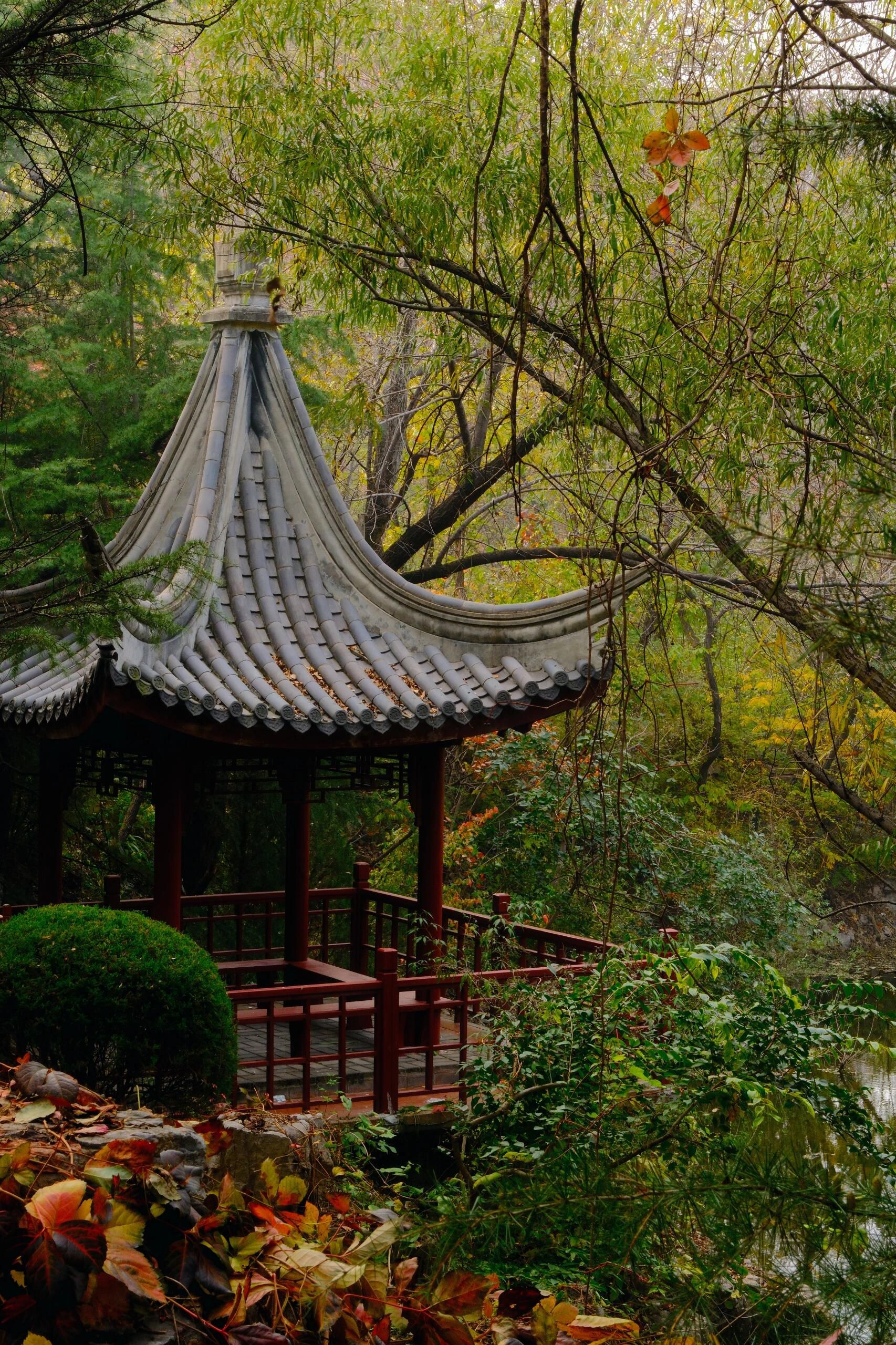 红景花海红叶谷旅行图片 1