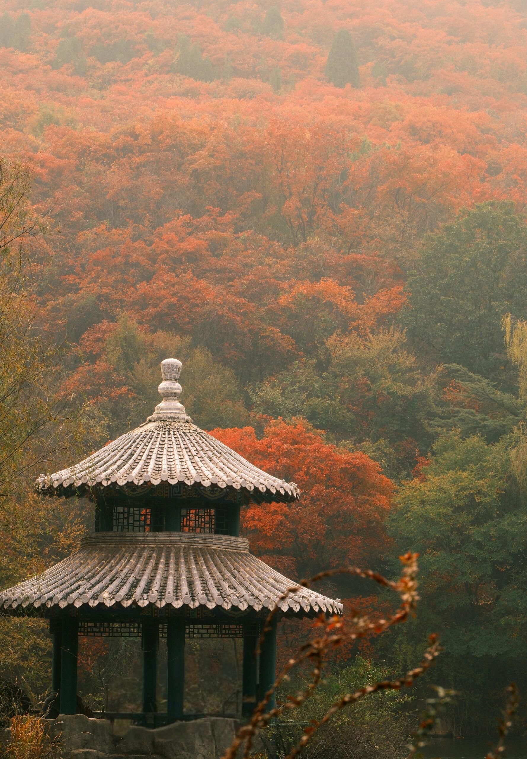 红景花海红叶谷旅行图片 2