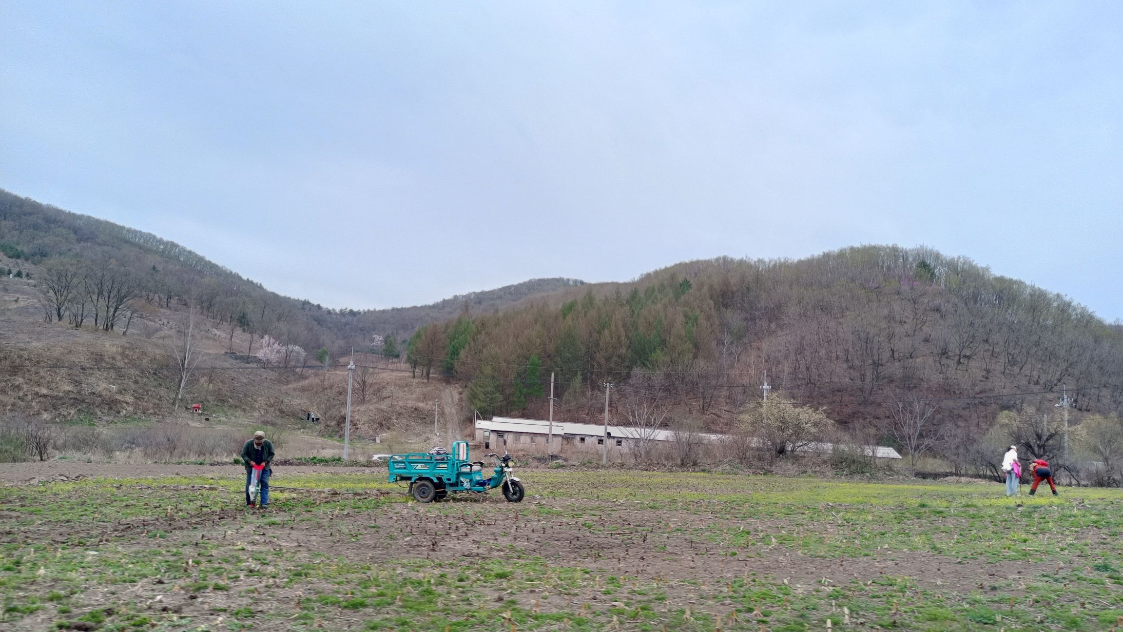 红景花海红叶谷旅行图片 3