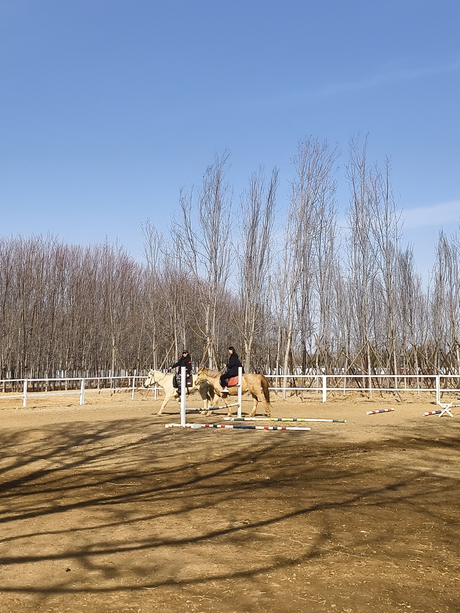 场地封面-骑仕骏马术俱乐部