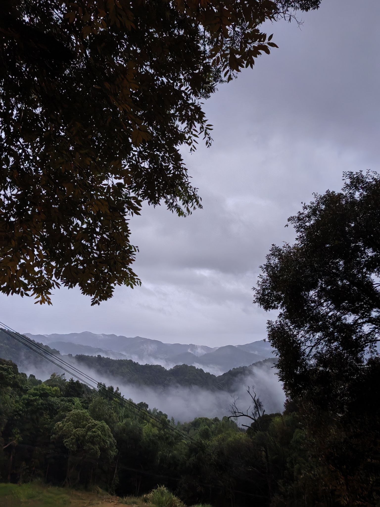 天龙寺旅行图片 1