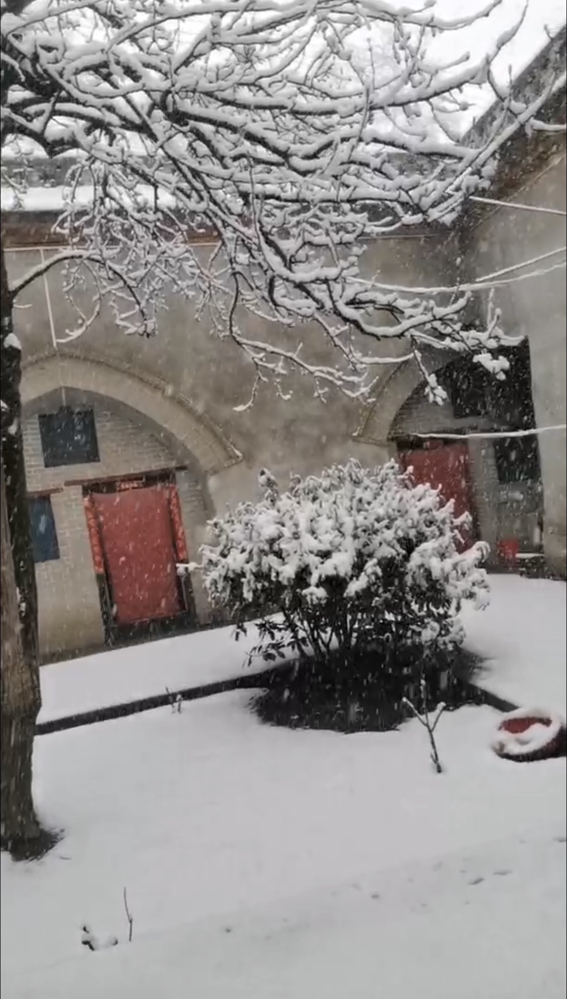 曲村地坑院51号院旅行图片 1