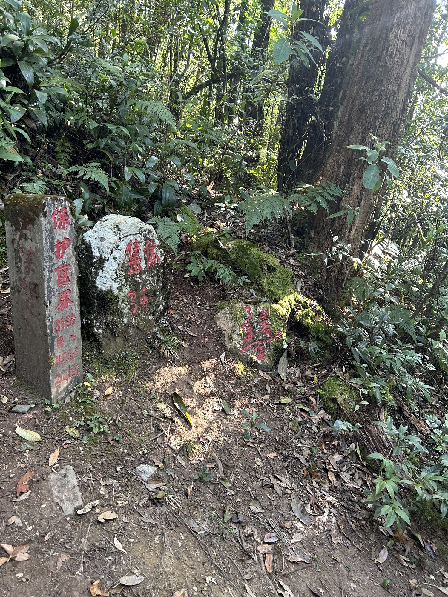 高黎贡山中南段户外大本营