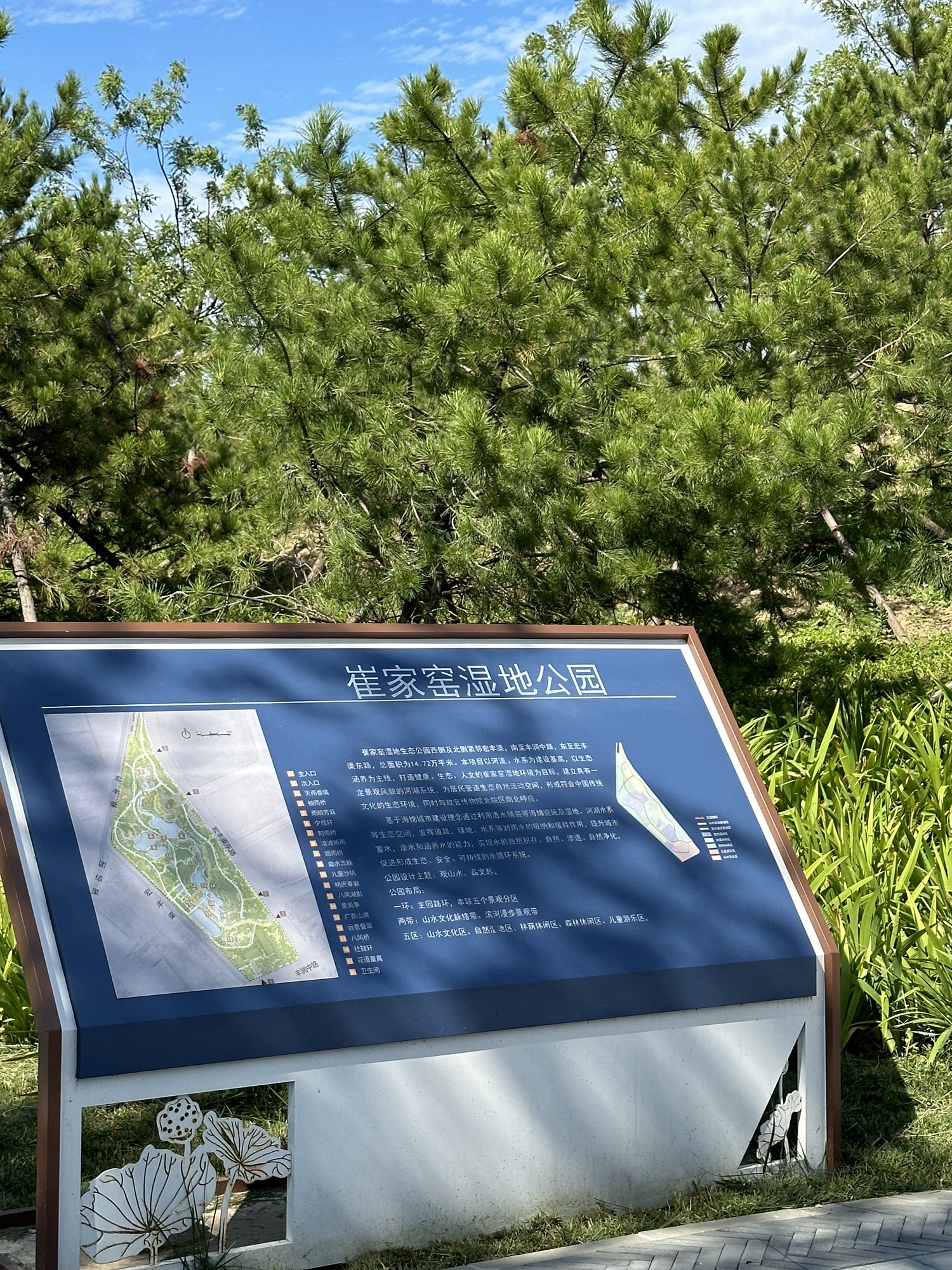 崔家窑湿地公园旅行图片 1