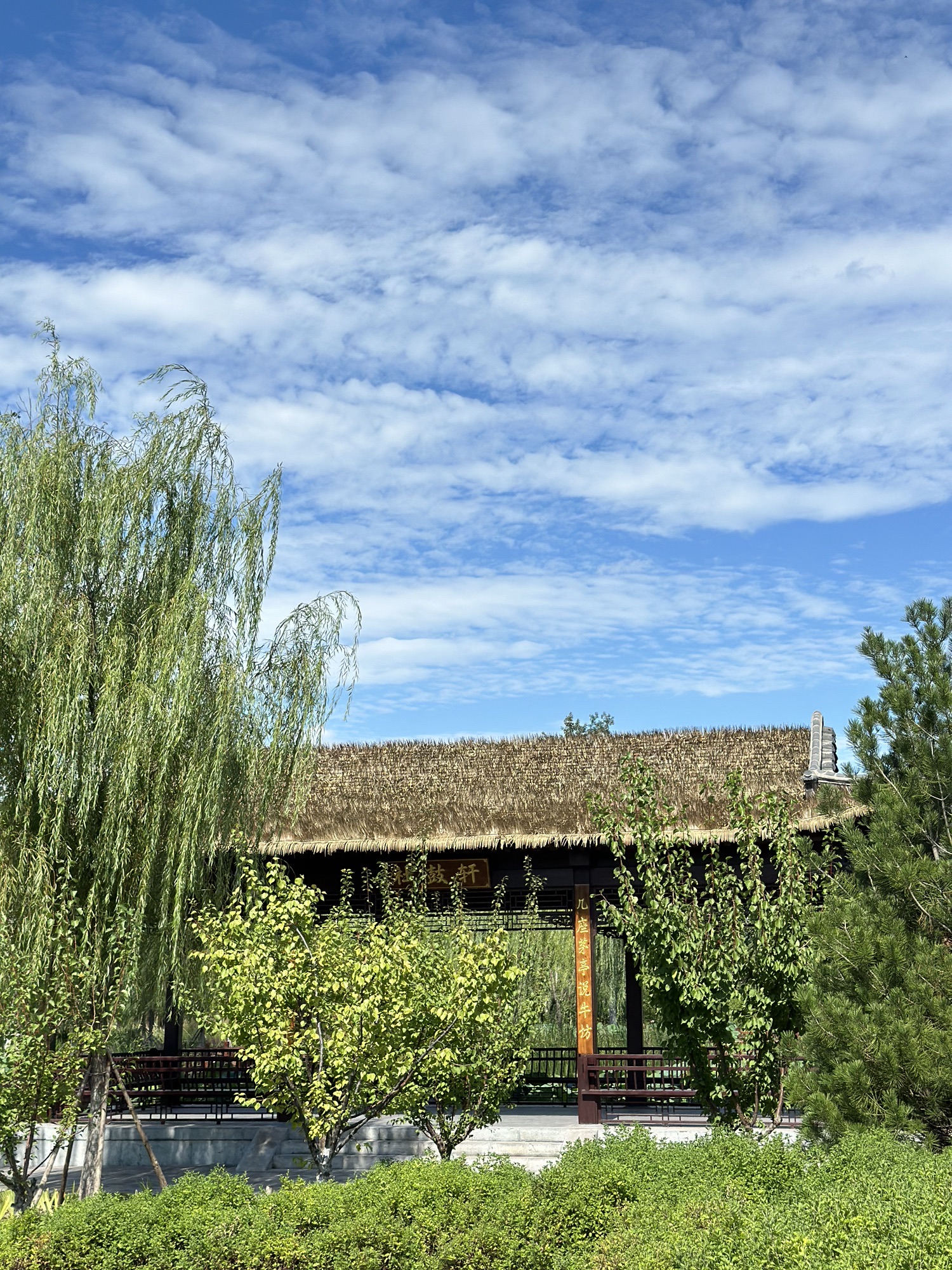 崔家窑湿地公园旅行图片 3