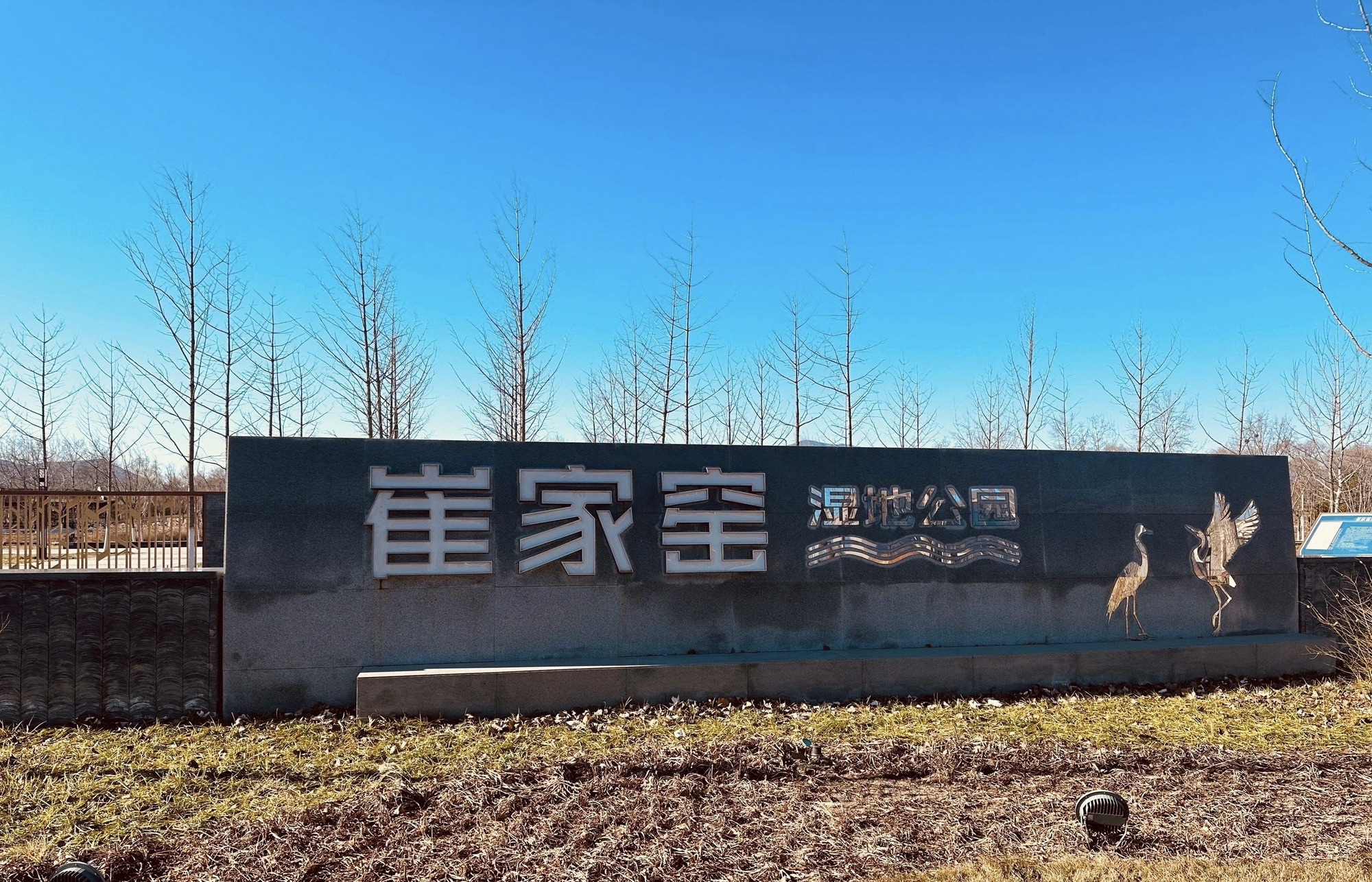 崔家窑湿地公园旅行图片 1