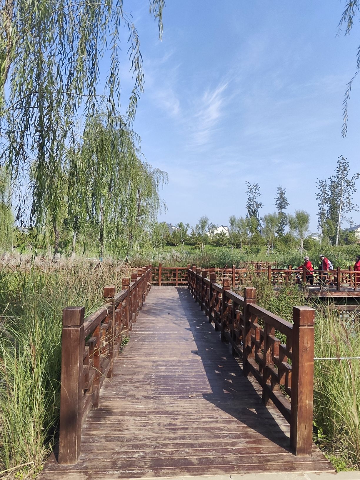 崔家窑湿地公园旅行图片 1
