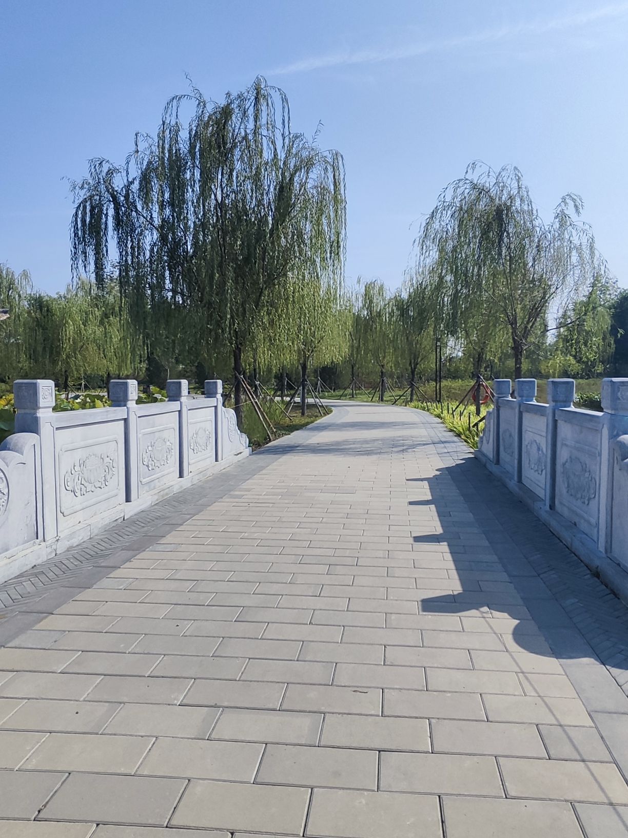 崔家窑湿地公园旅行图片 2