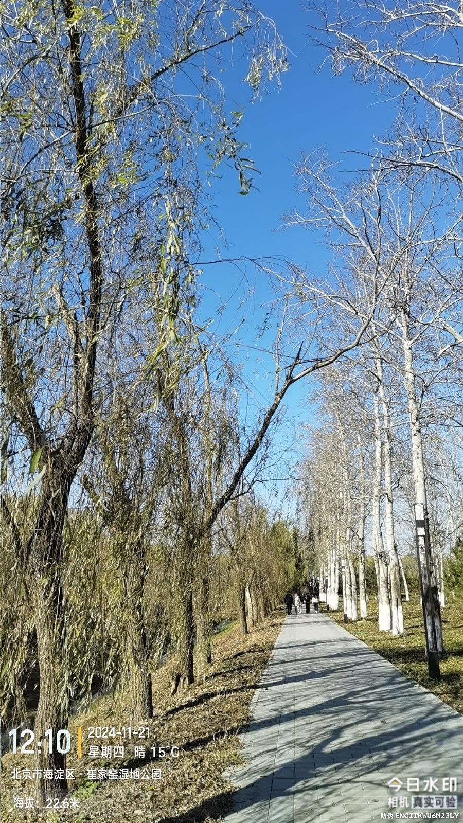 崔家窑湿地公园旅行图片 2