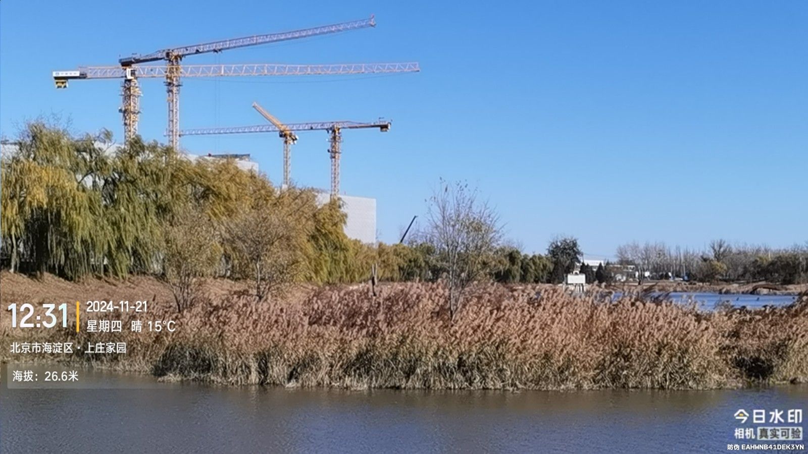 崔家窑湿地公园旅行图片 3