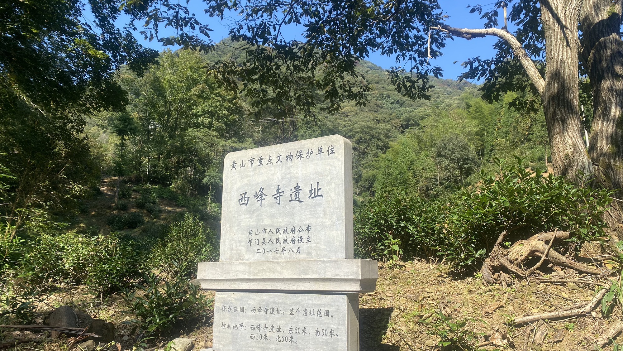 西峯宝林禅院实景照片