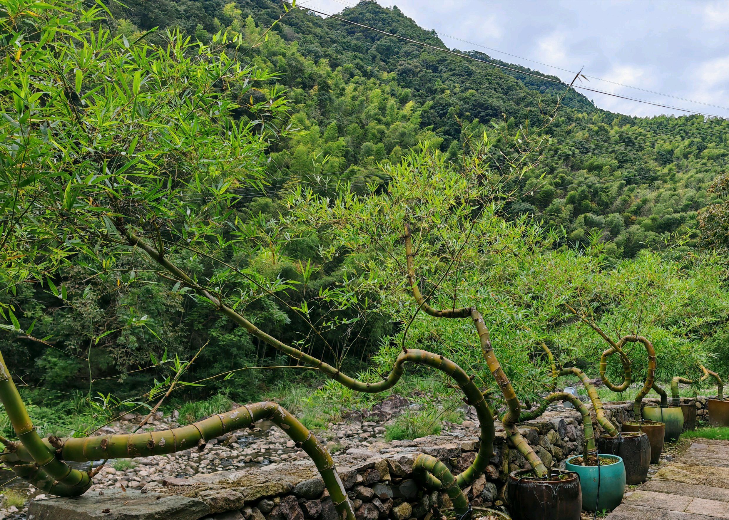 江南溪望谷旅行图片 1