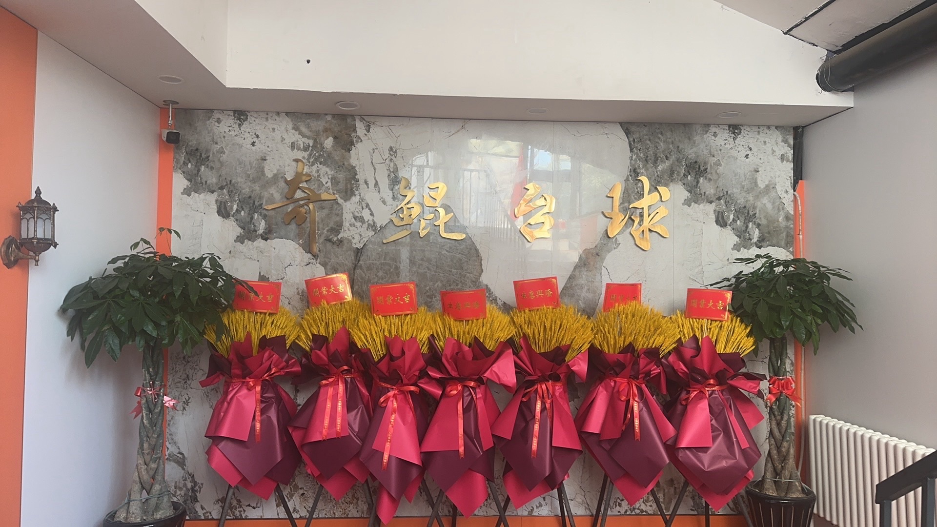 场地封面-奇鲲乔氏台球