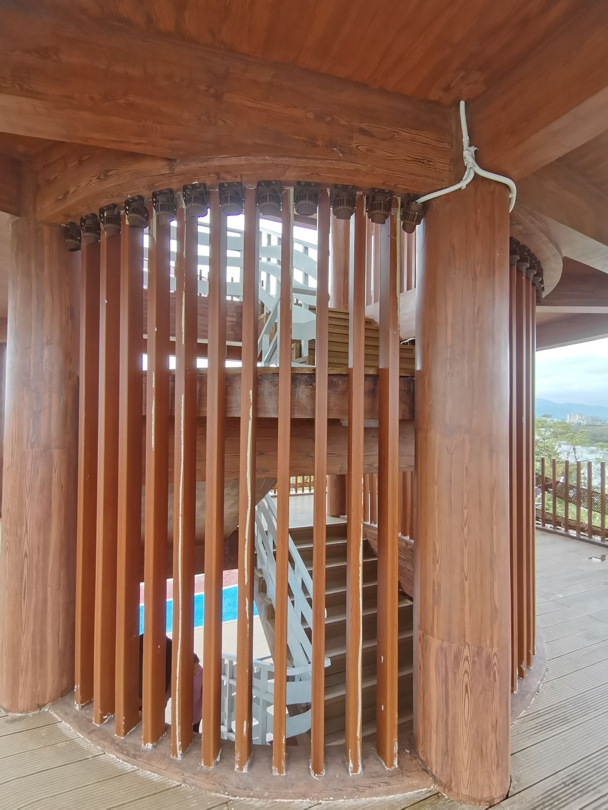 联安镇湿地观鸟台旅行图片 3