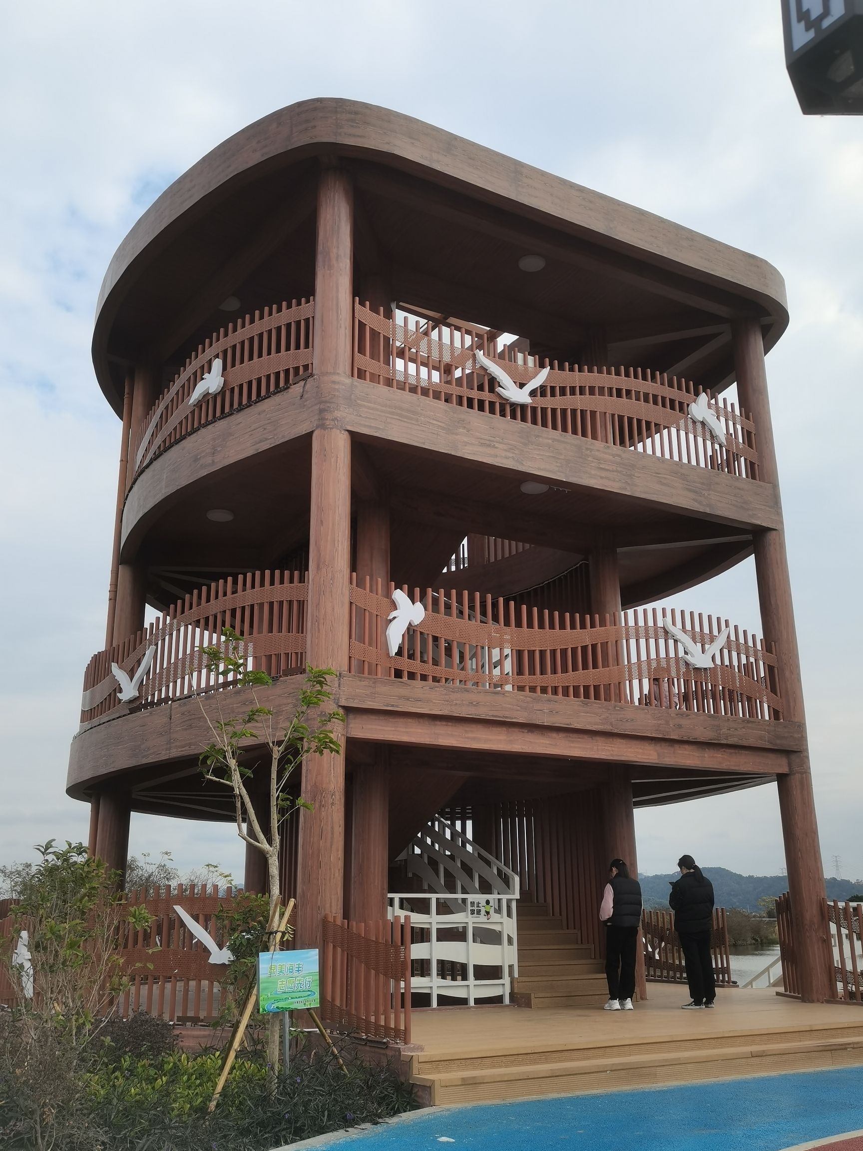 联安镇湿地观鸟台旅行图片 2