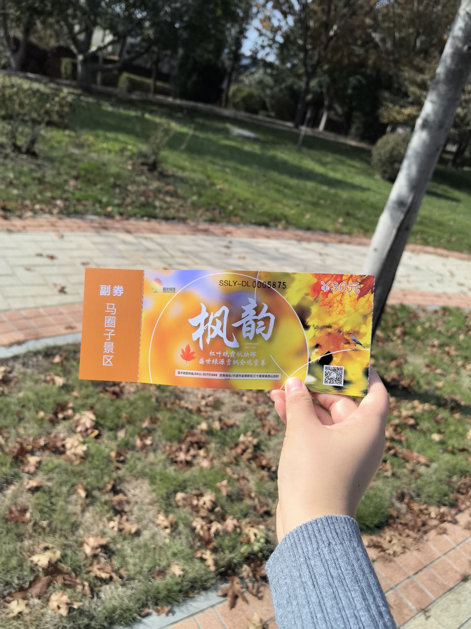 彩叶林湿地公园旅行图片 1