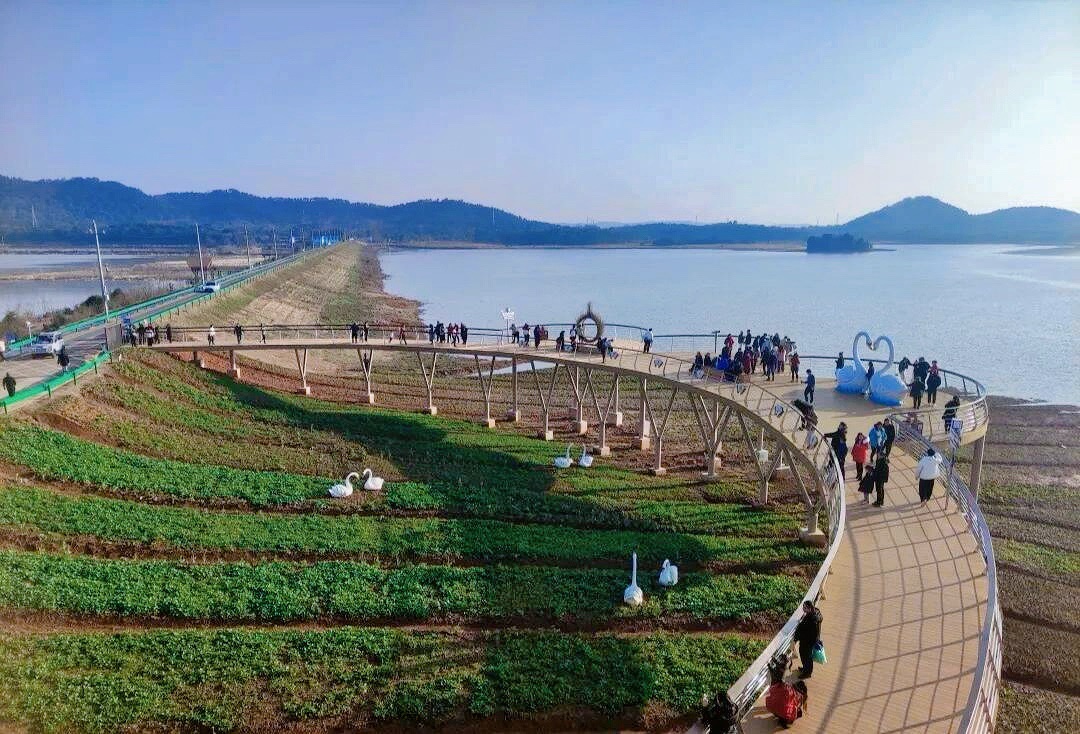 天鹅小镇旅行图片 3