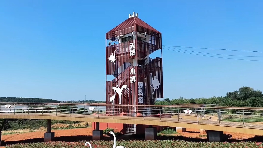 天鹅小镇旅行图片 2