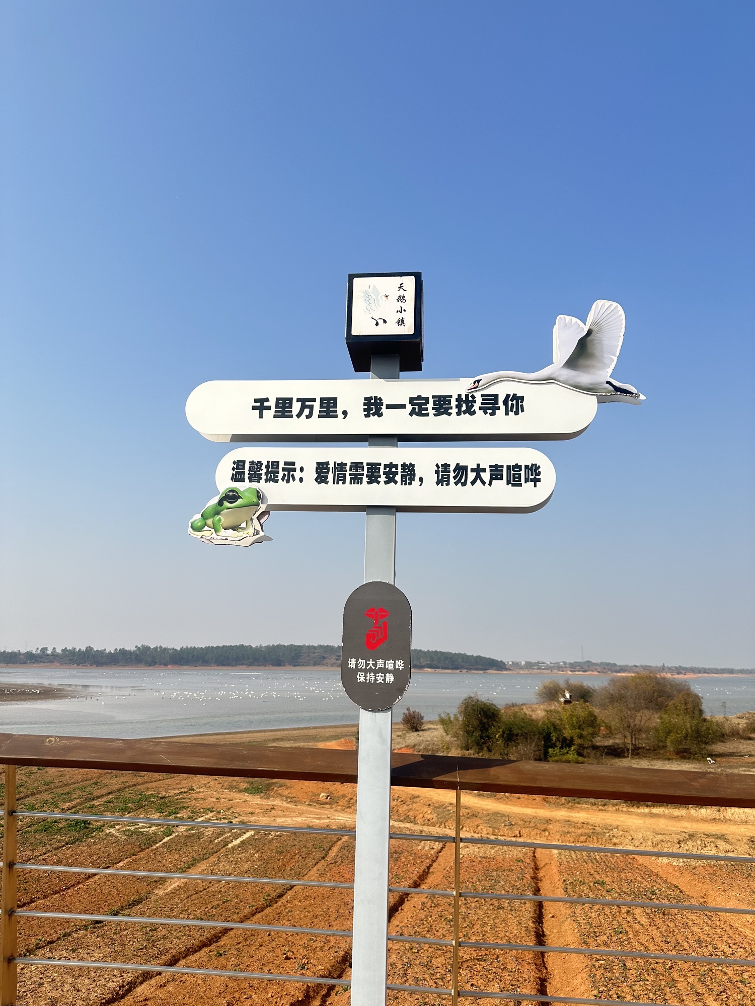 天鹅小镇旅行图片 2