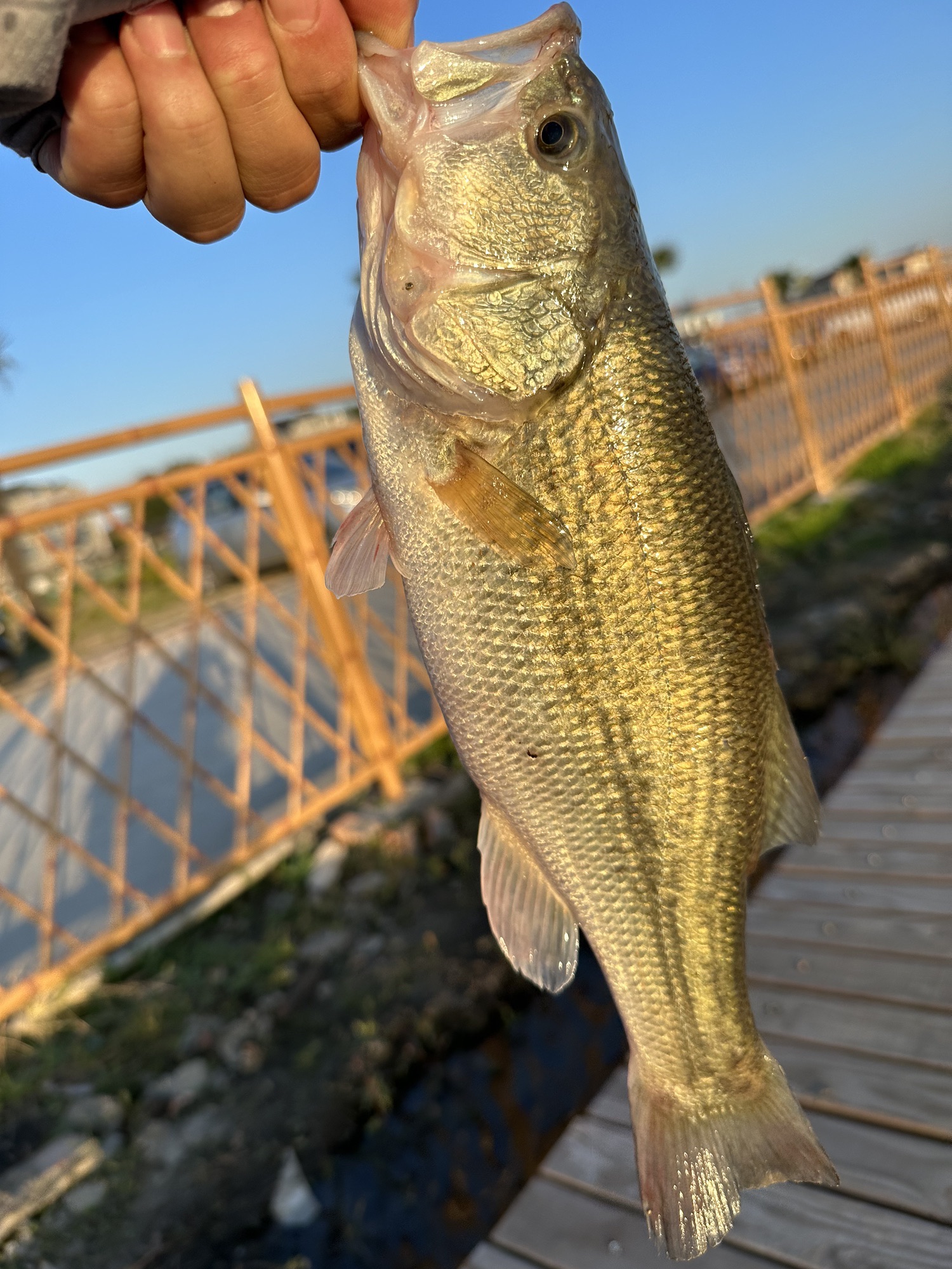 场地封面-RC路亚