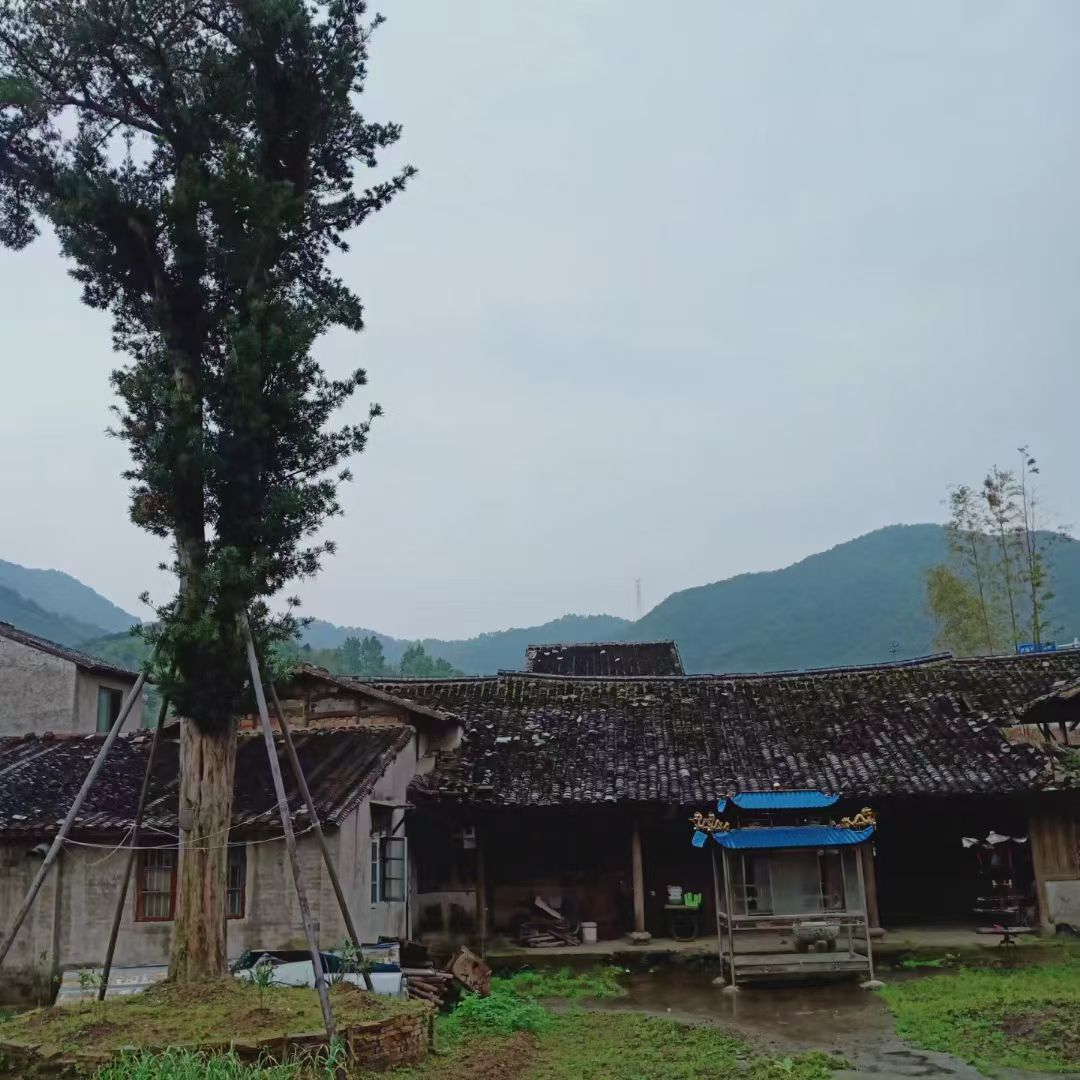 龙华宫旅行图片 2