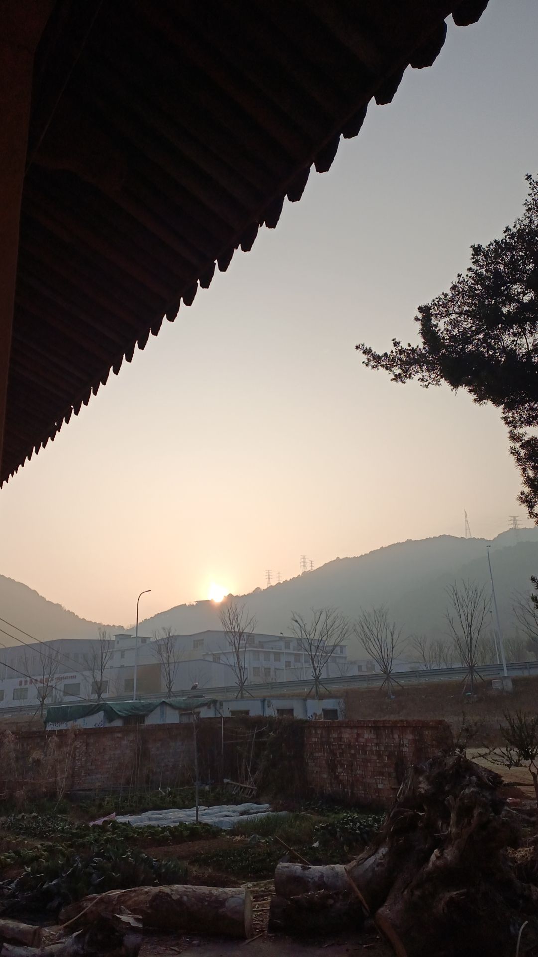 龙华宫旅行图片 1