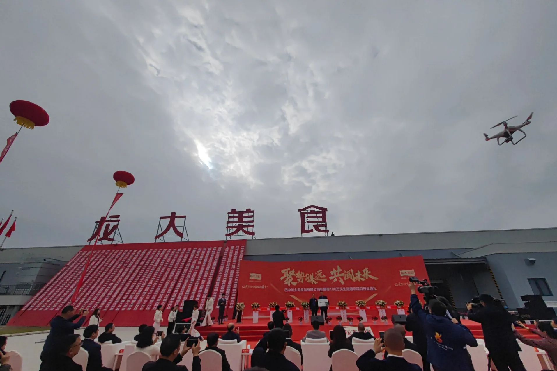 巴中龙大肉食品有限公司