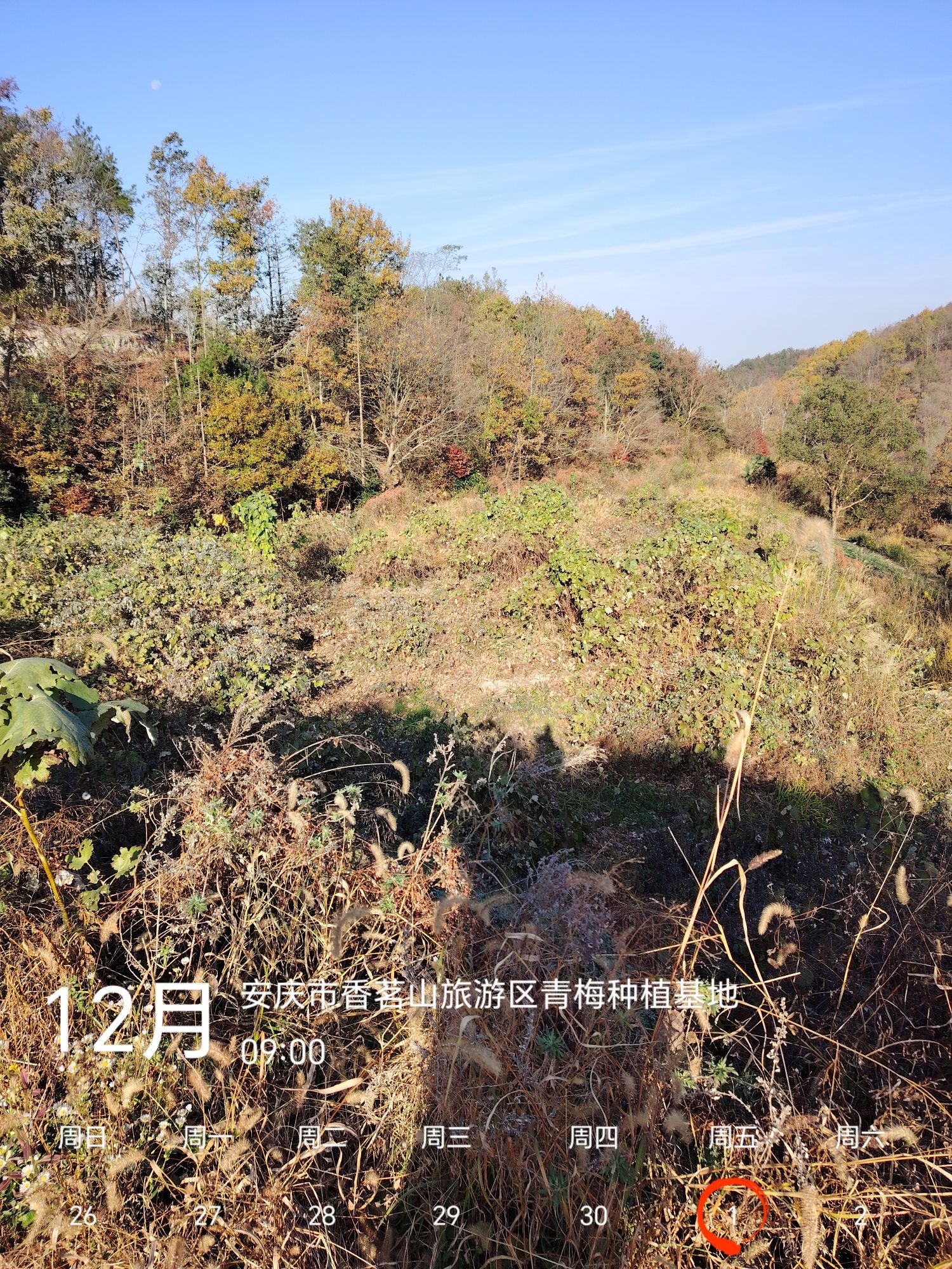 香茗山网红景点旅行图片 1