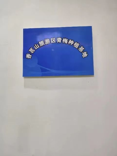 香茗山网红景点旅行图片 1