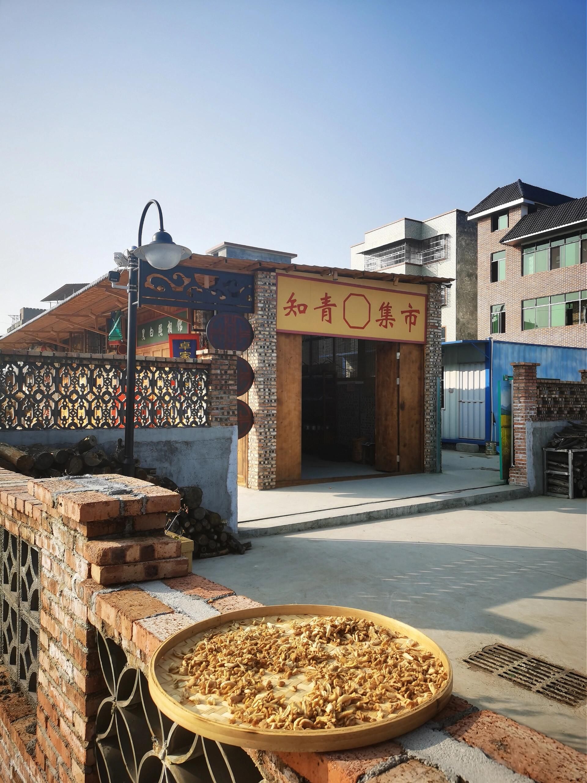 山蕉知青文化园旅行图片 1