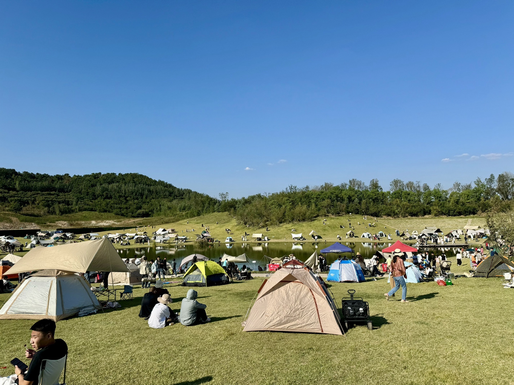 白鹭牧场旅行图片 3