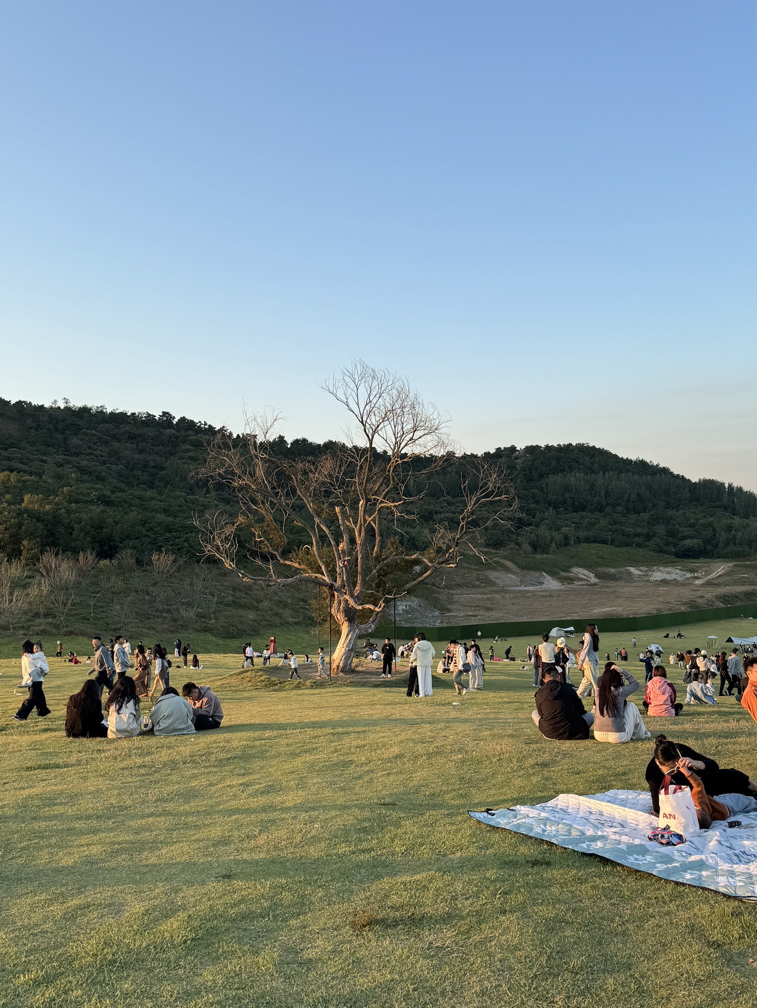 白鹭牧场旅行图片 2