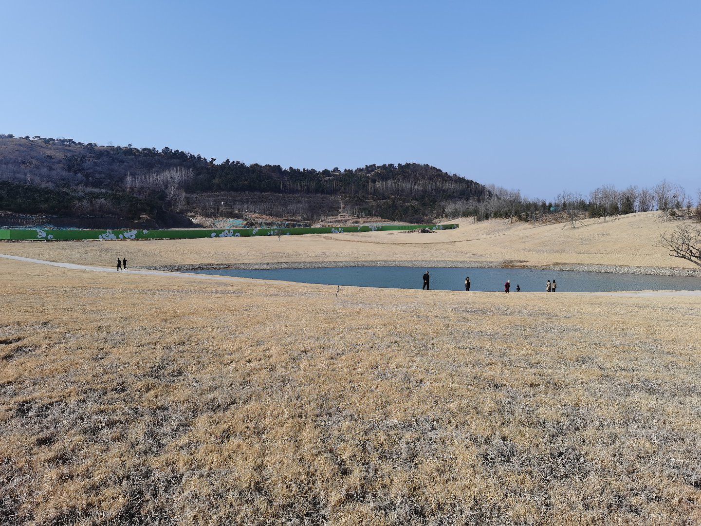 白鹭牧场旅行图片 2
