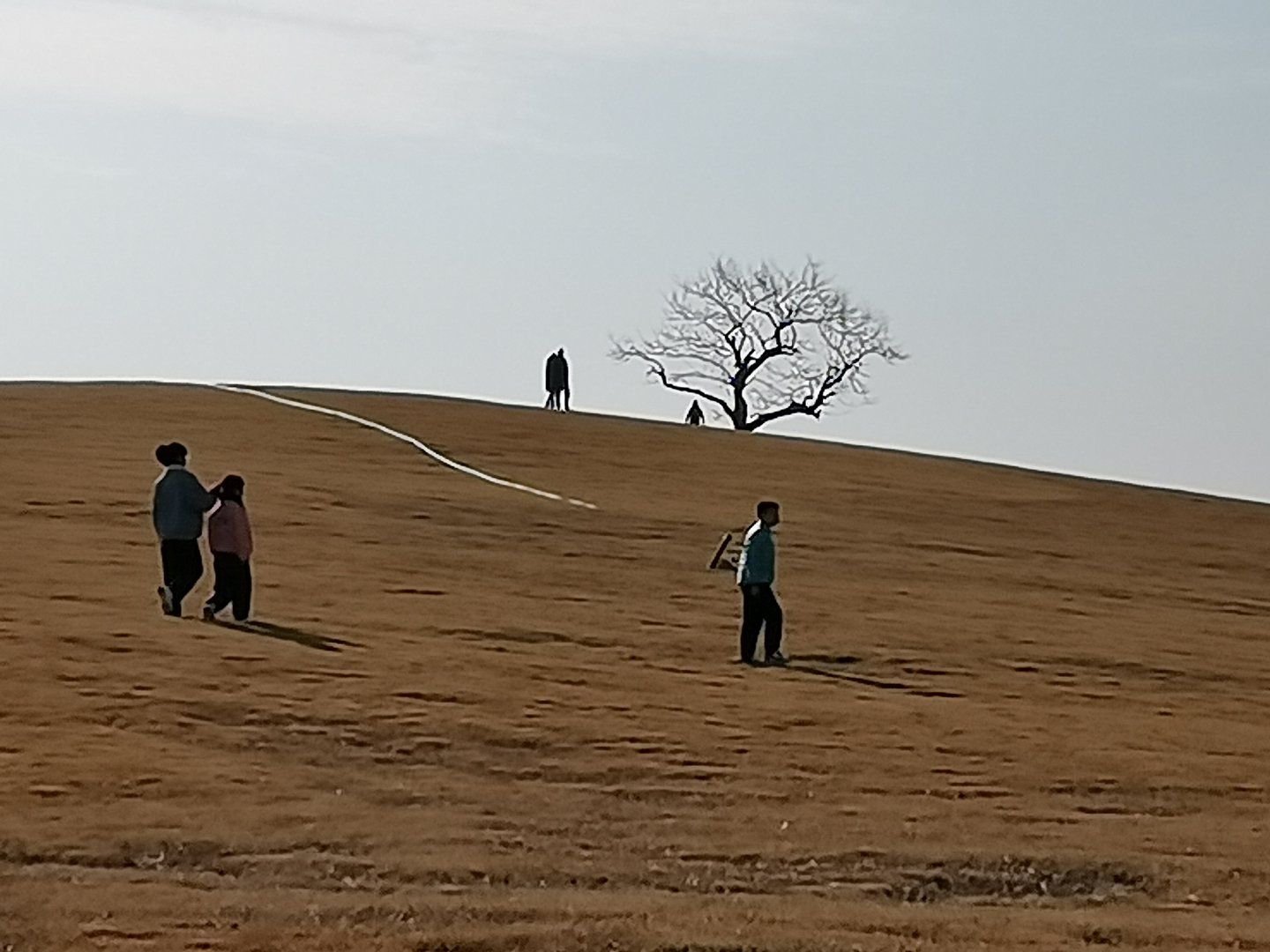白鹭牧场旅行图片 1