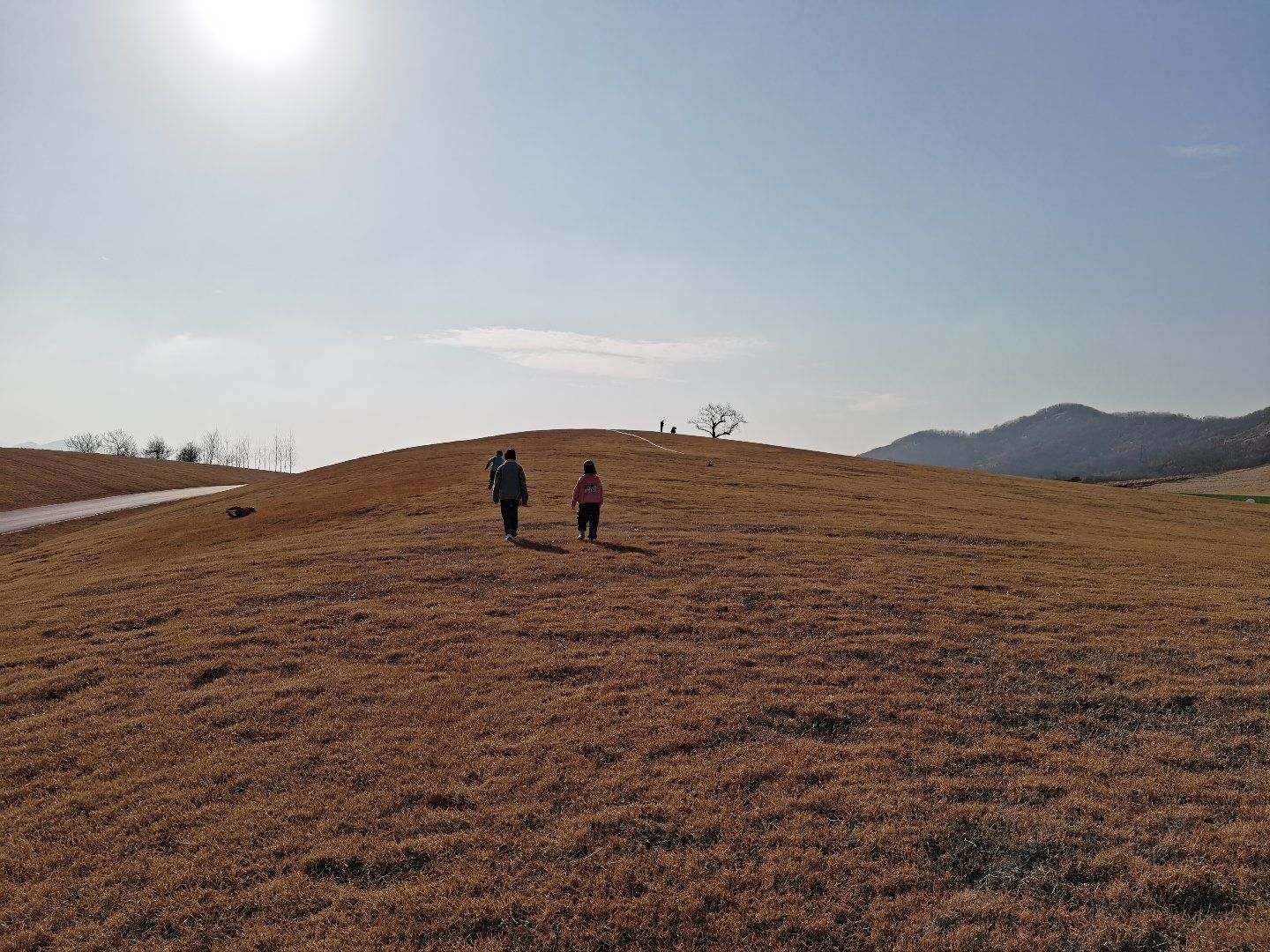白鹭牧场旅行图片 3