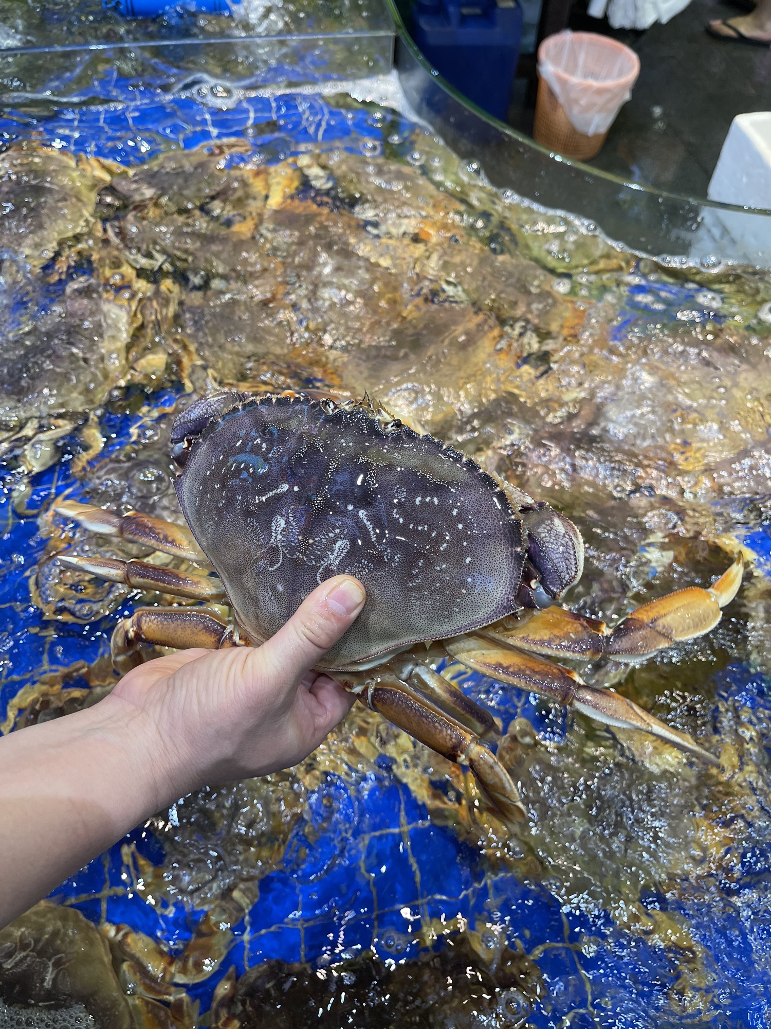 海鲜超市(三亚店)