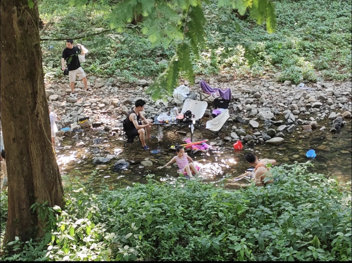 朱家埠郊野公园旅行图片 2