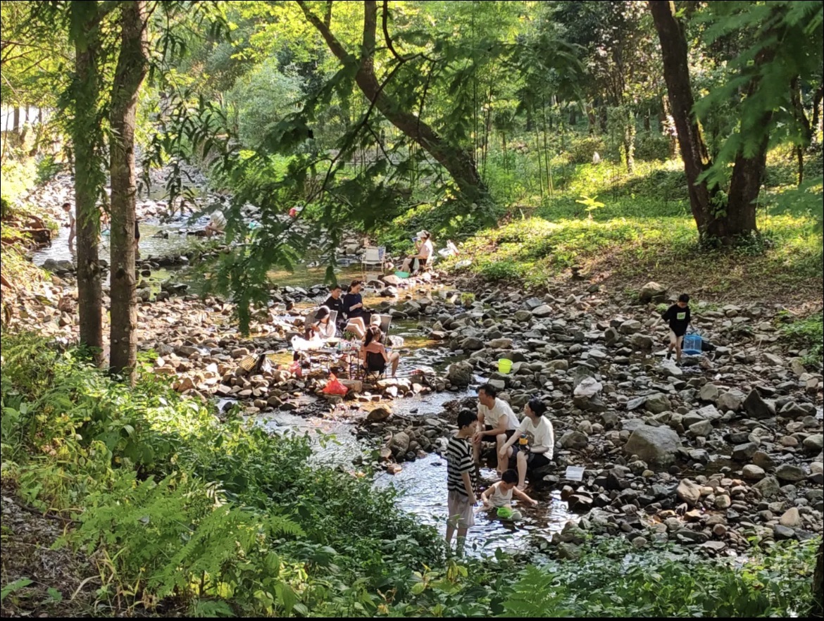 朱家埠郊野公园旅行图片 3