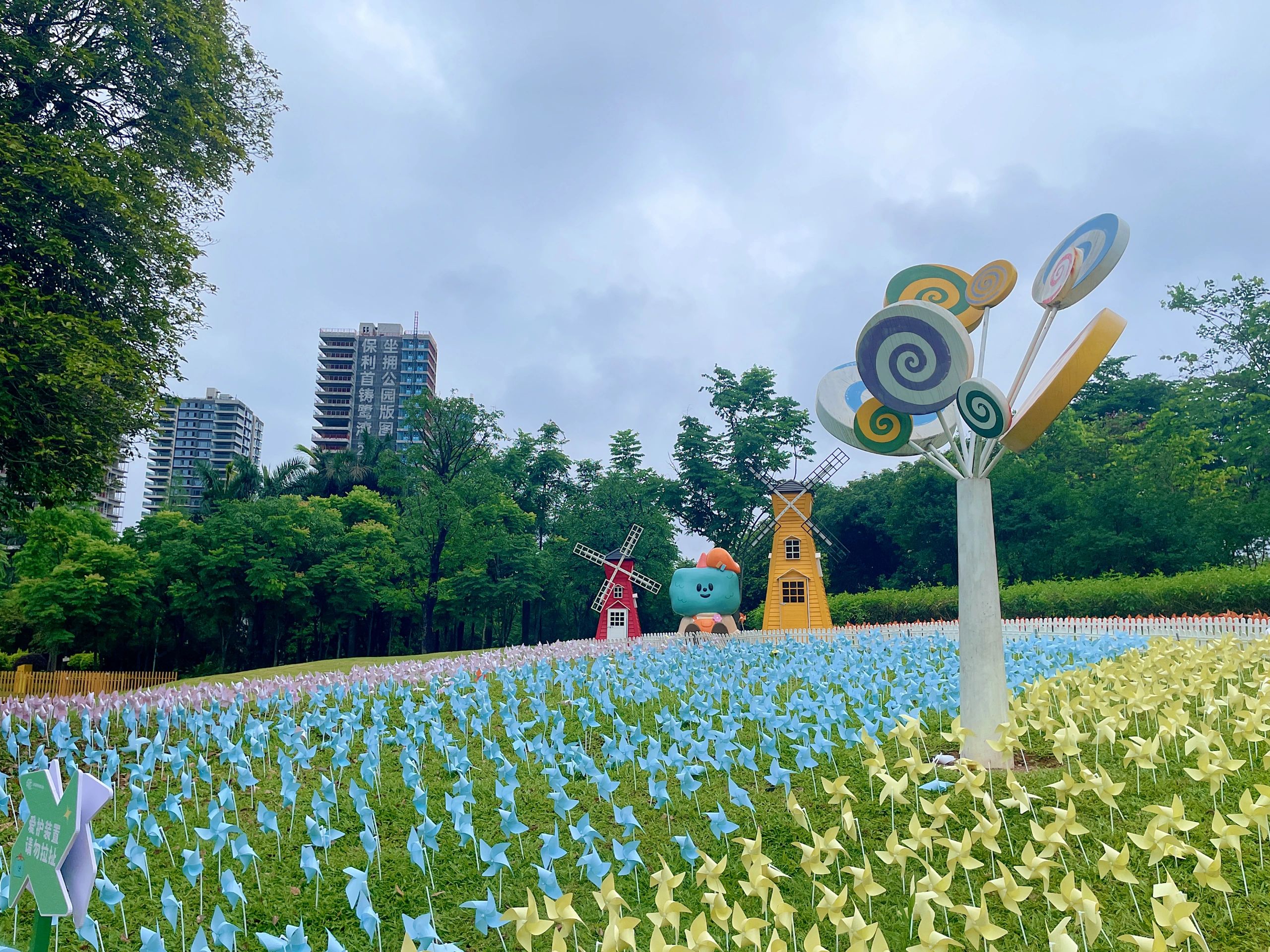 龙湾湿地公园旅行图片 3