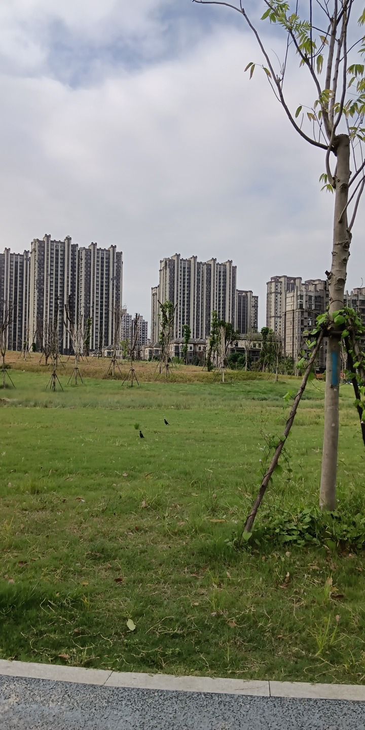 前头溪森林公园旅行图片 1