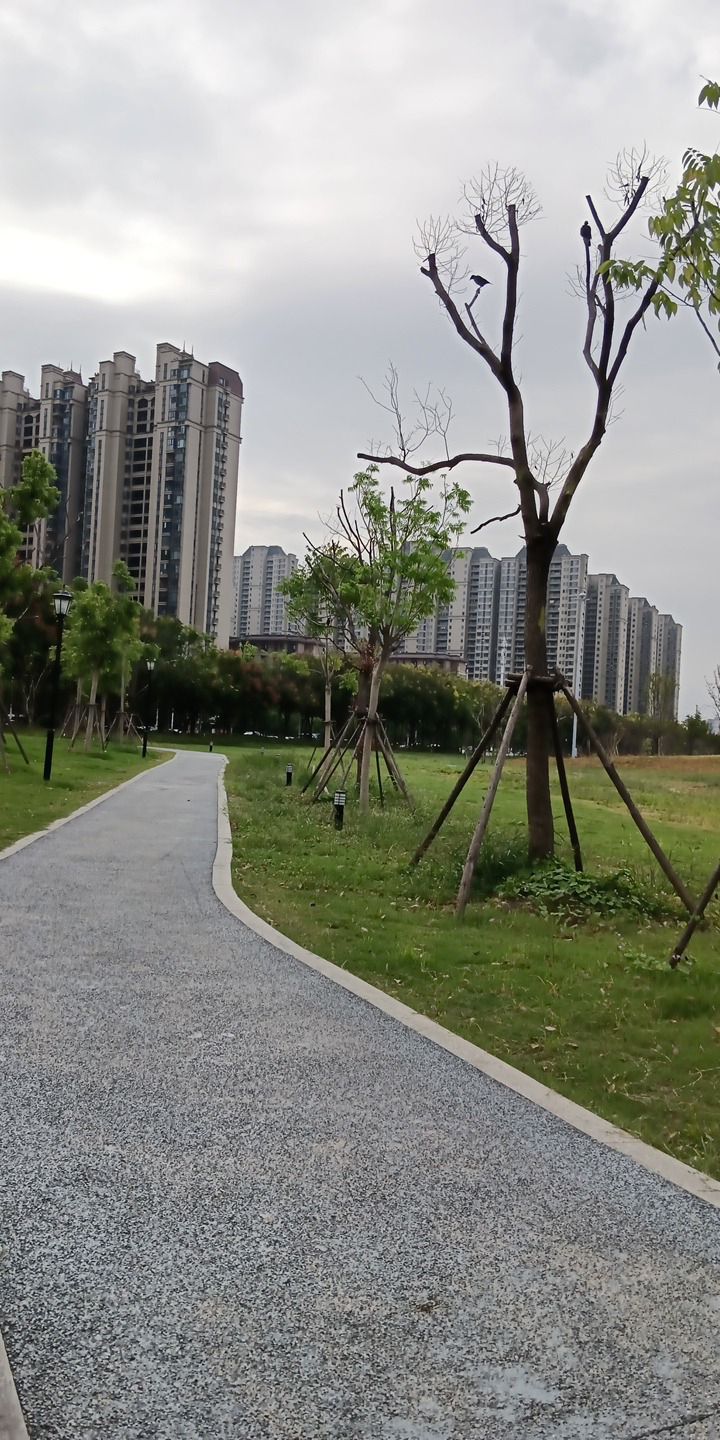 前头溪森林公园旅行图片 3