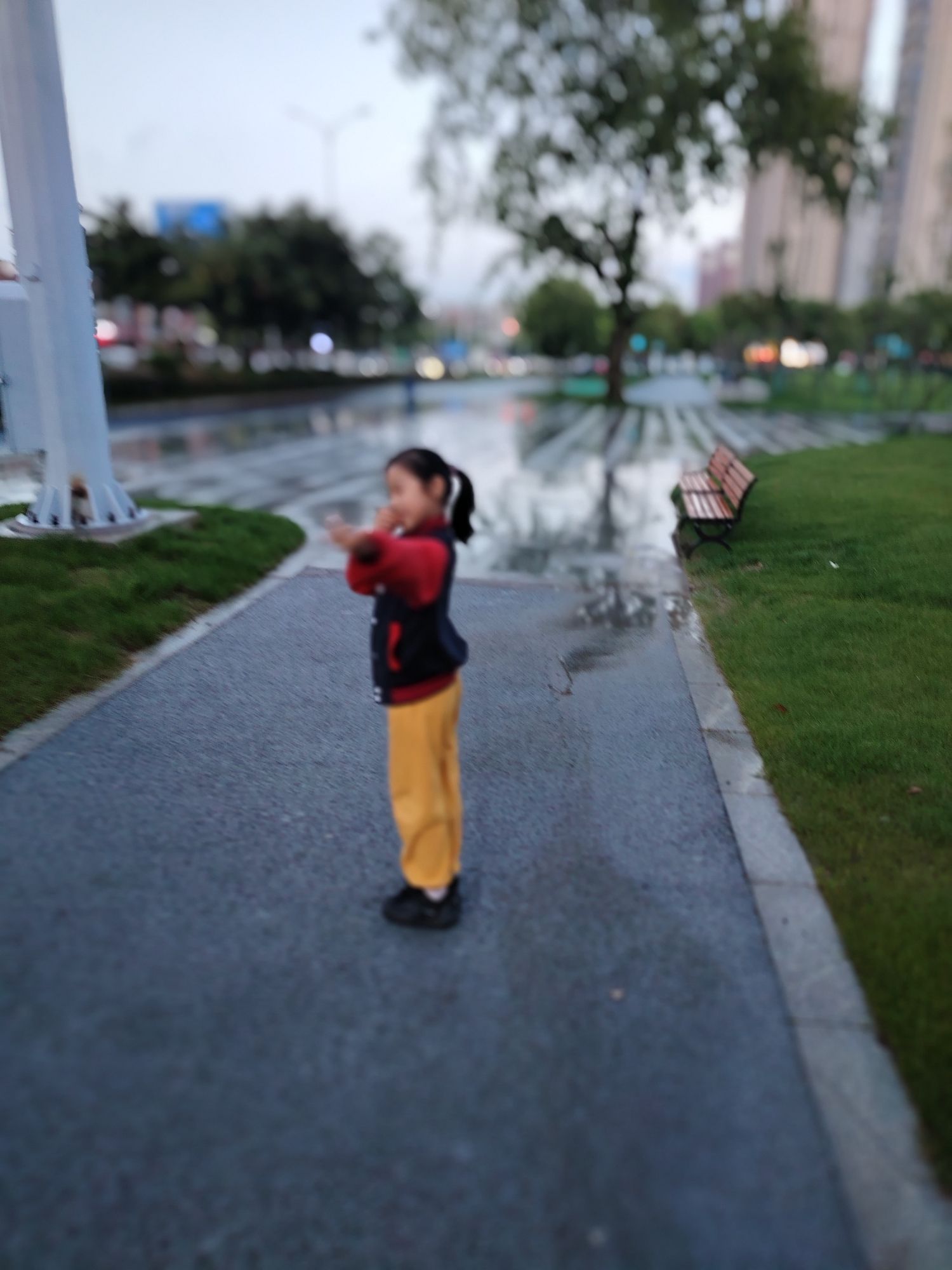 前头溪森林公园旅行图片 2