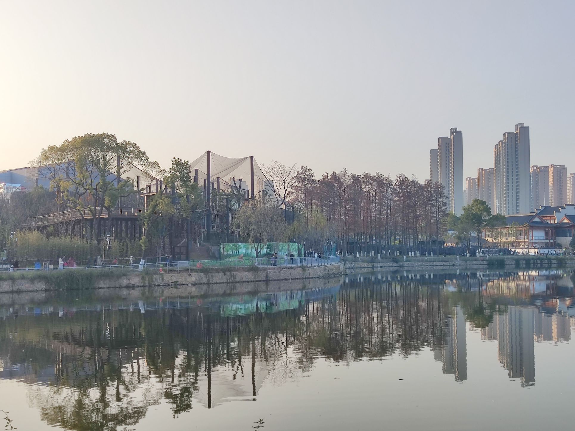 花海漫滩旅行图片 1