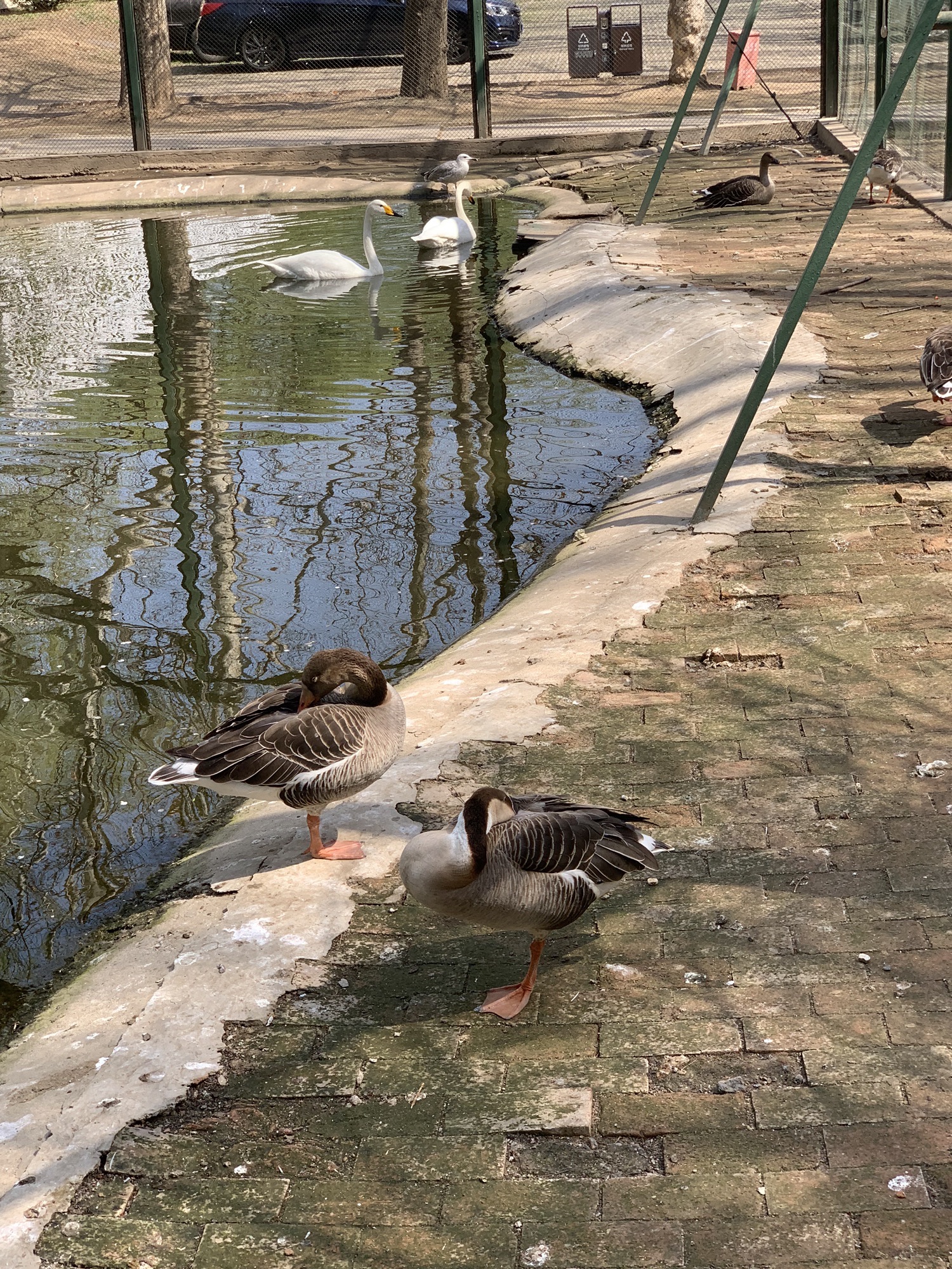 紫玉公园旅行图片 2