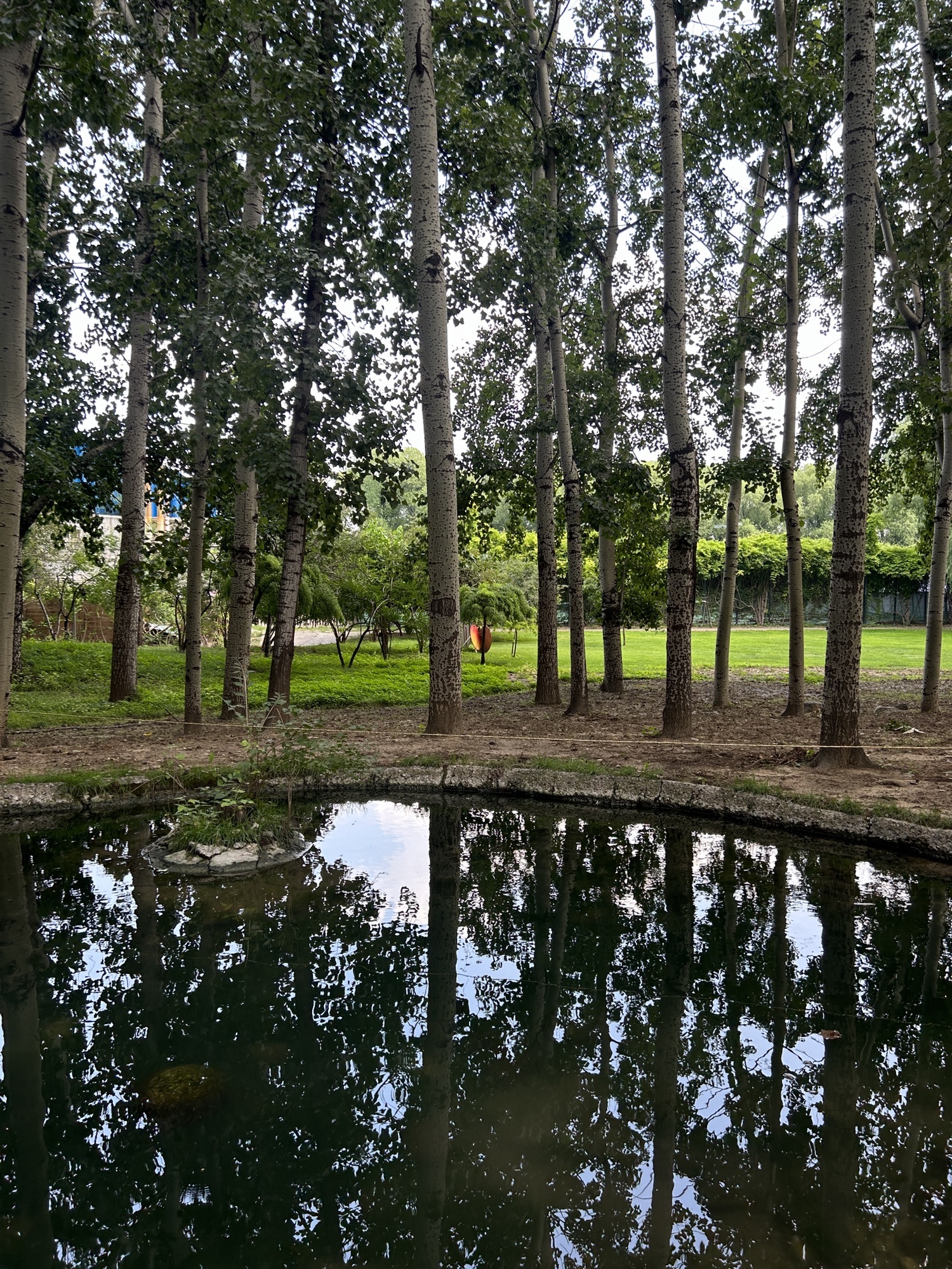紫玉公园旅行图片 1