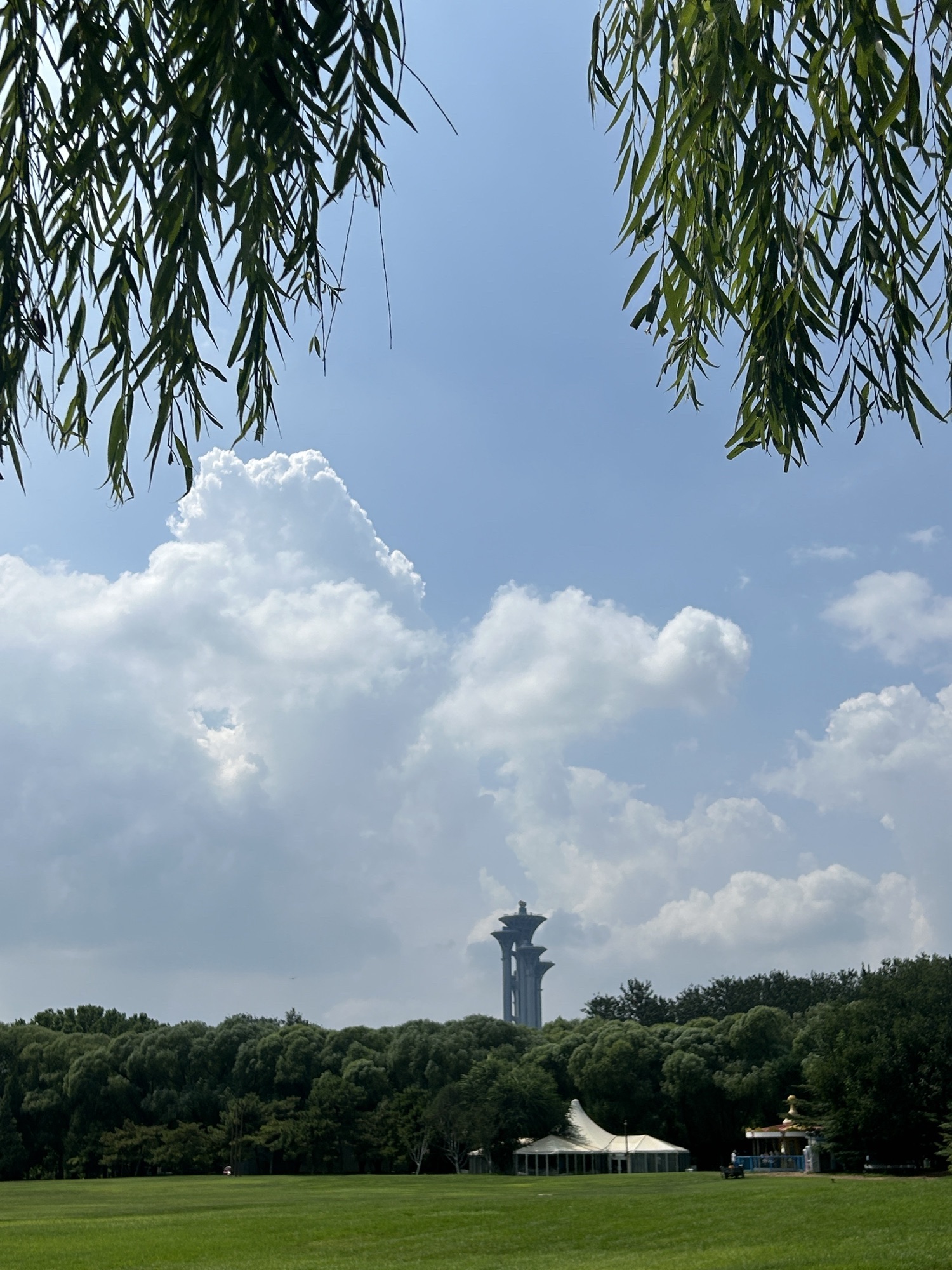 紫玉公园旅行图片 3