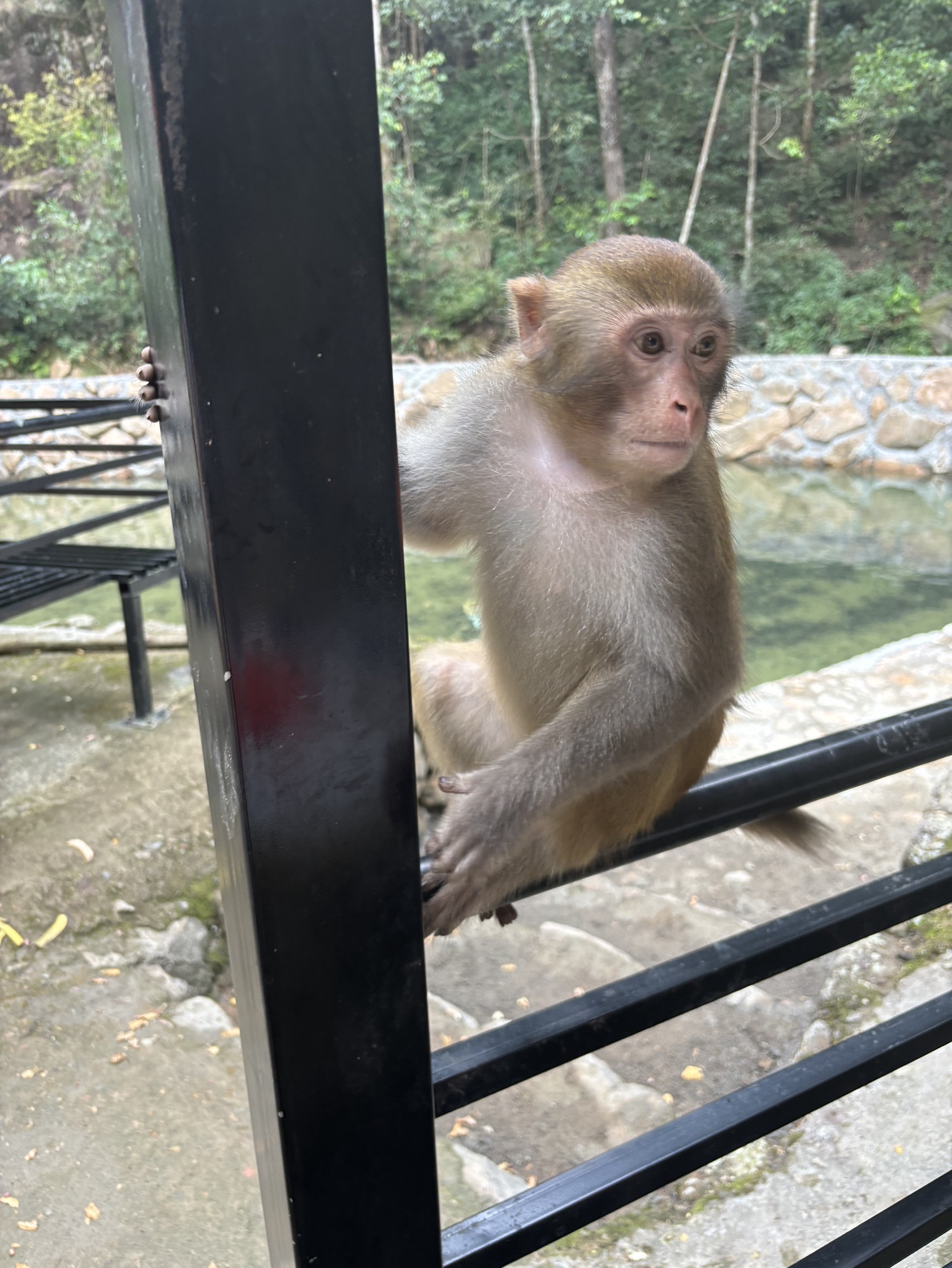 东梅溪大峡谷旅行图片 1
