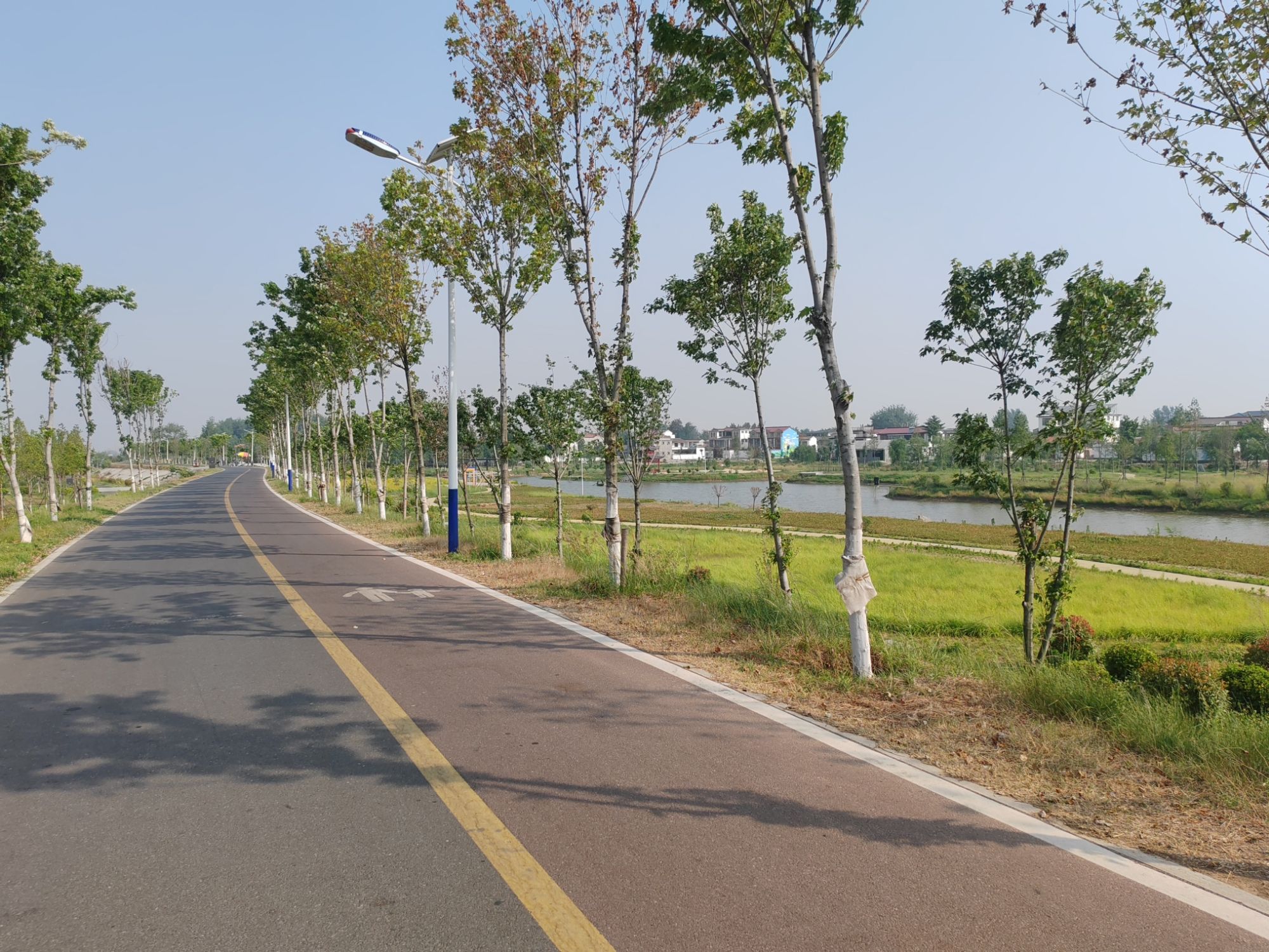 沈丘红闸湿地公园旅行图片 3
