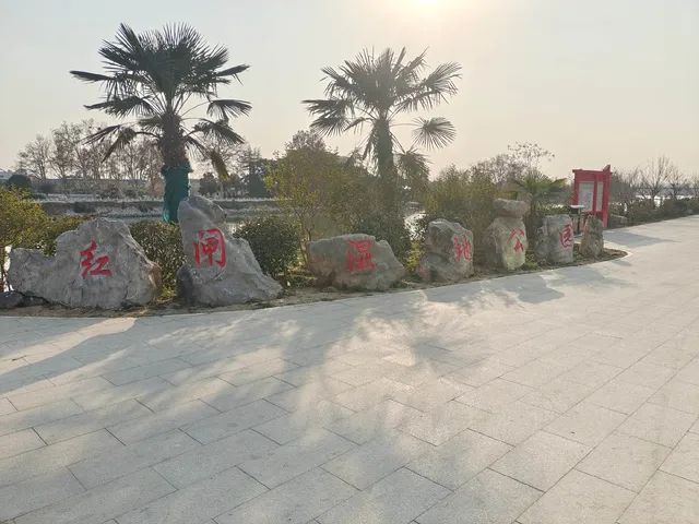 沈丘红闸湿地公园旅行图片 3
