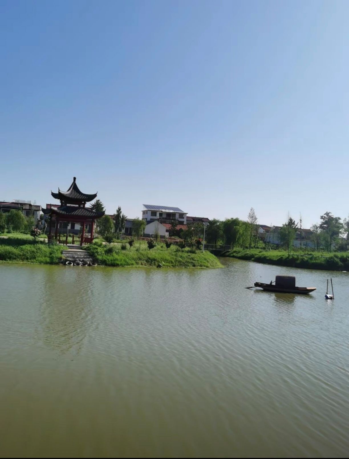沈丘红闸湿地公园旅行图片 1